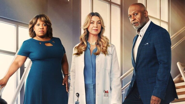 Greys Anatomy Season 20 Sets Netflix US Release Date